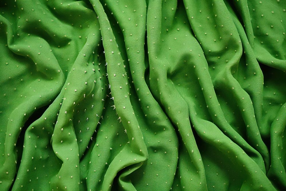 Backgrounds green freshness textured.