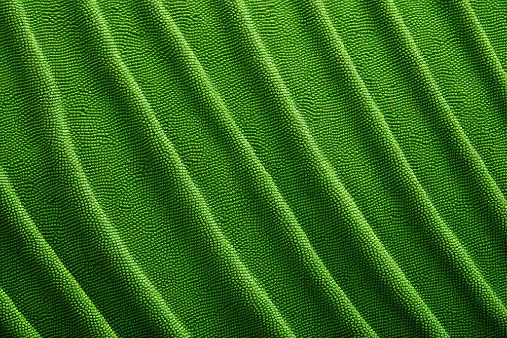 Backgrounds texture green leaf.