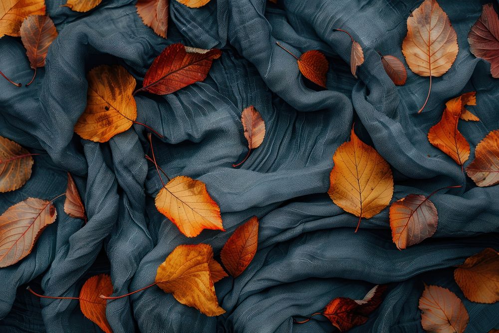 Autumn leaves backgrounds texture plant.