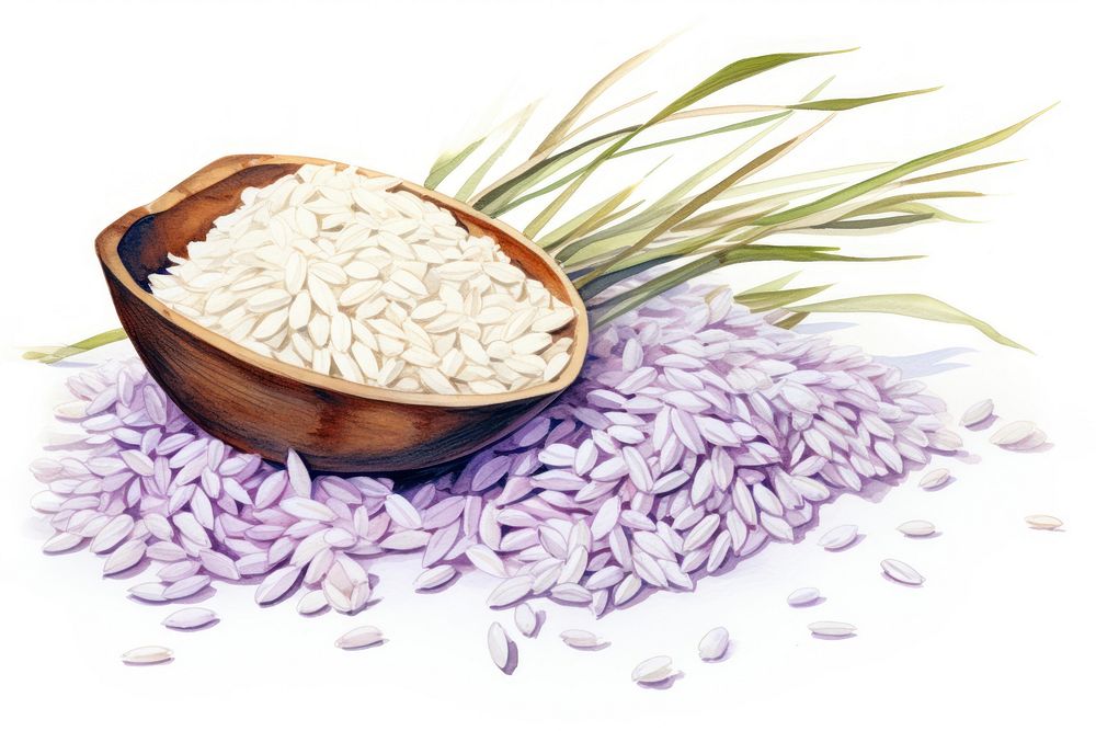 Rice produce grain food.