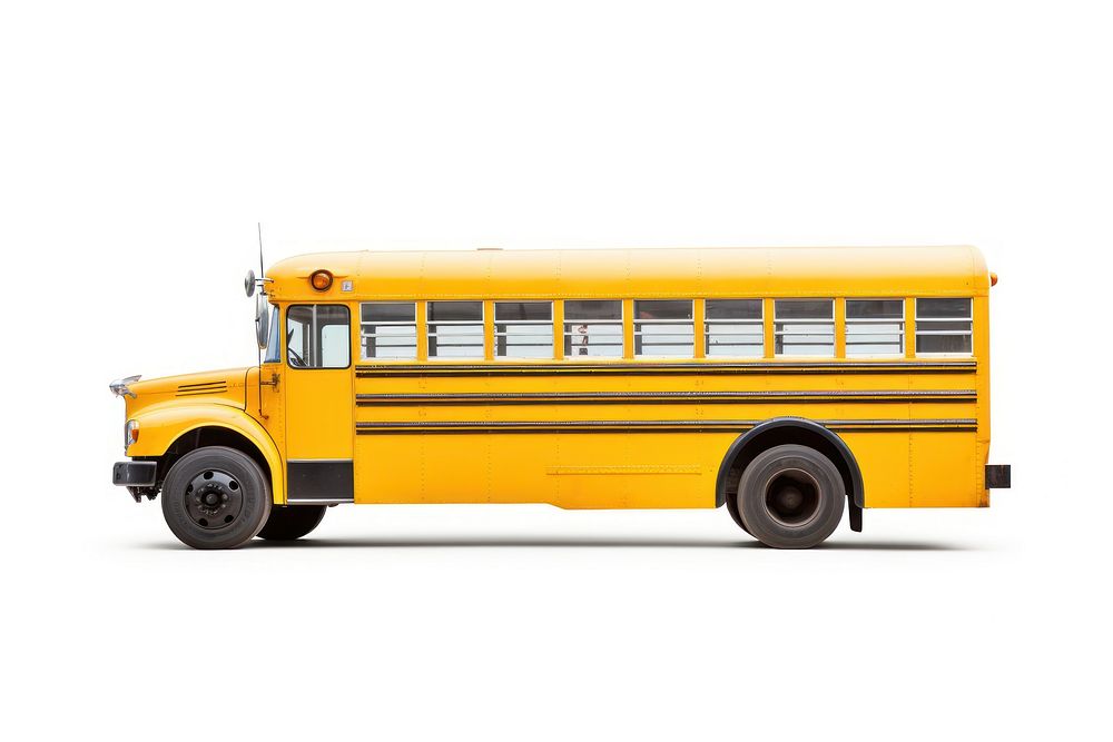 School bus vehicle white background transportation.