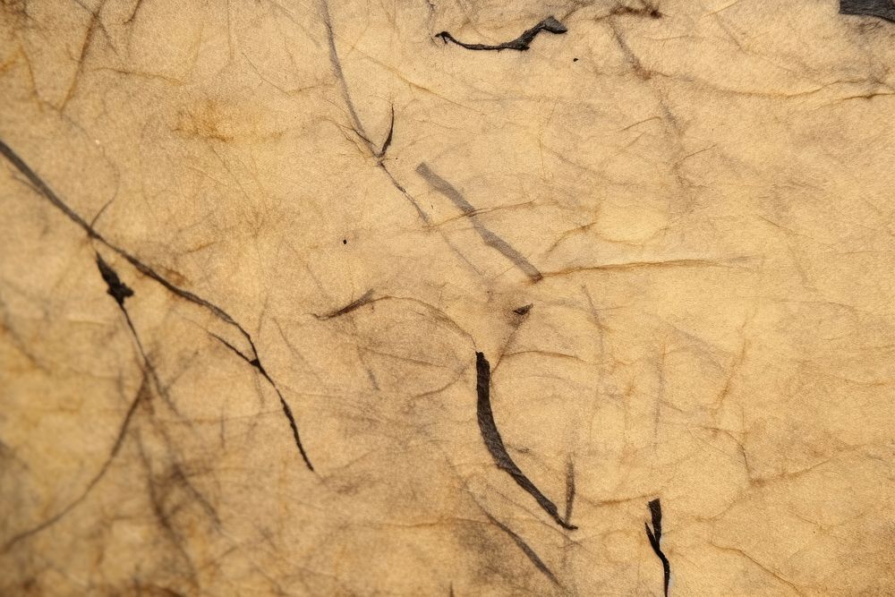 Plant fibre mulberry paper texture fossil rock.