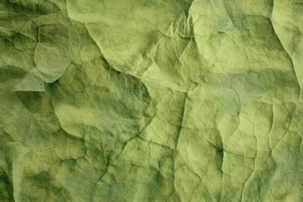 Plant fibre mulberry paper texture green leaf.
