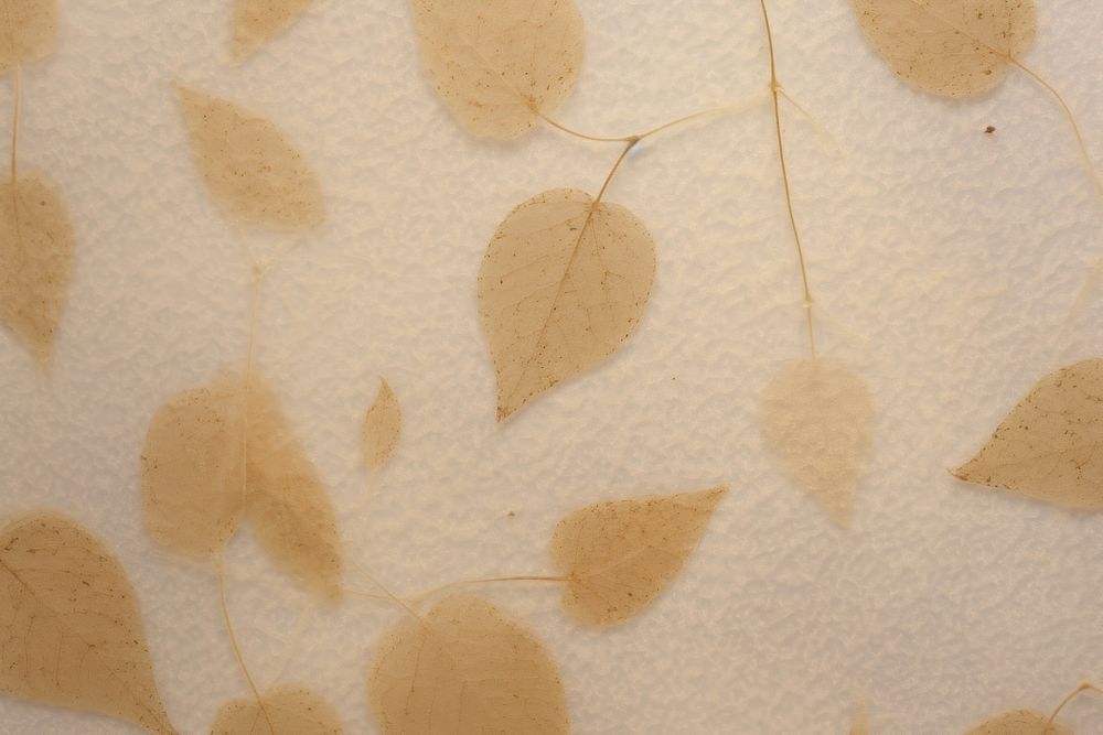 Plant fibre mulberry paper texture leaf.