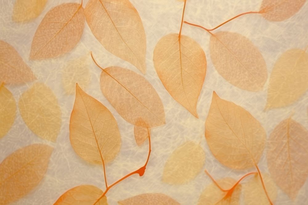 Plant fibre mulberry paper texture pattern blossom.