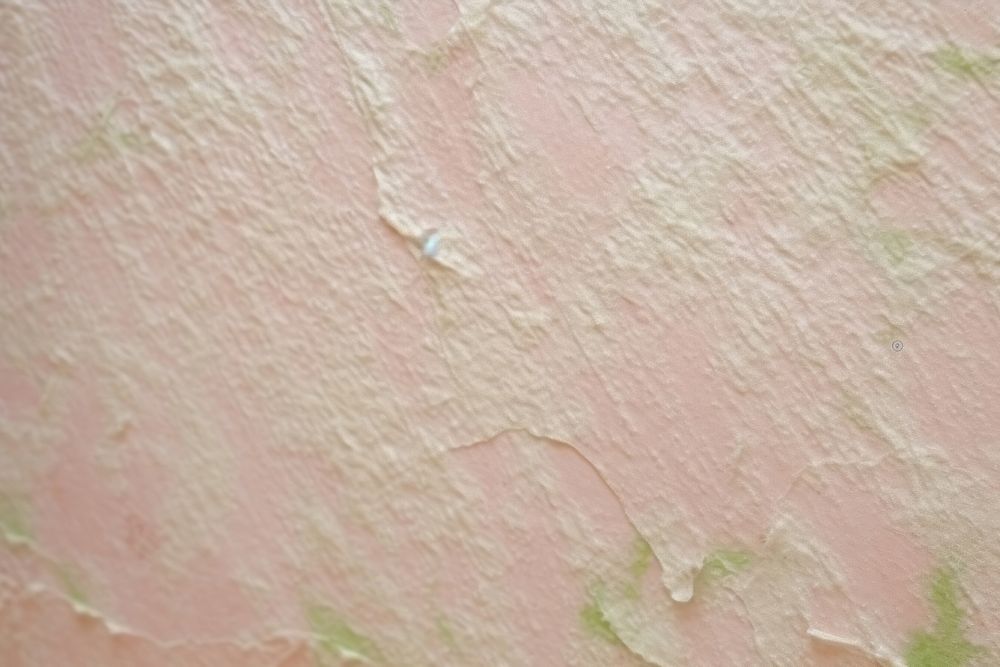 Plant fibre mulberry paper mold home damage mold damage.