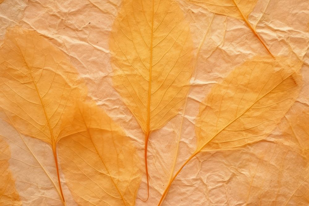Plant fibre mulberry paper texture tobacco leaf.