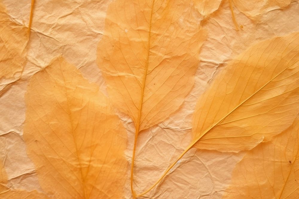 Plant fibre mulberry paper texture furniture leaf.