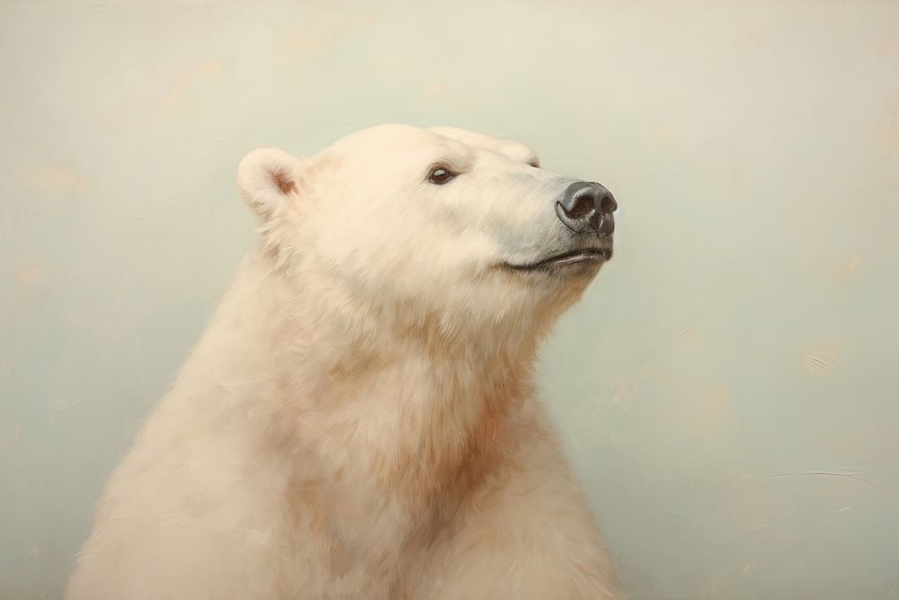 Close up on pale pastel tones bear wildlife animal mammal.