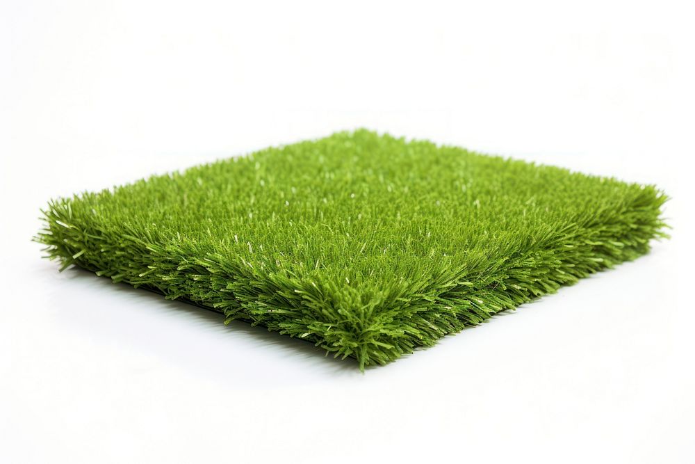 Artificial Turf in Fron grass plant turf.