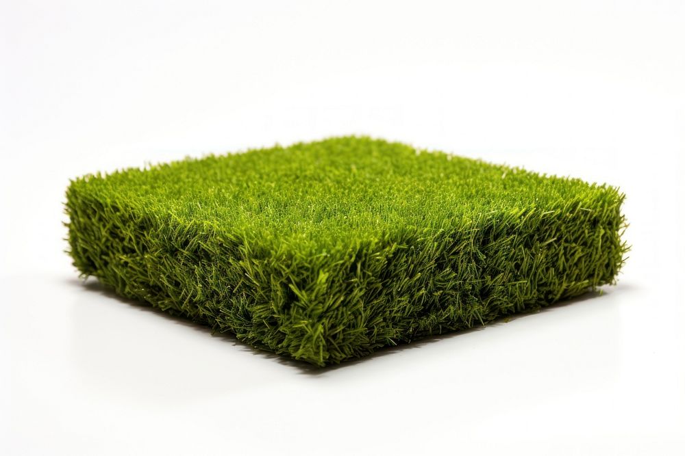 Artificial Turf in Fron grass plant lawn.
