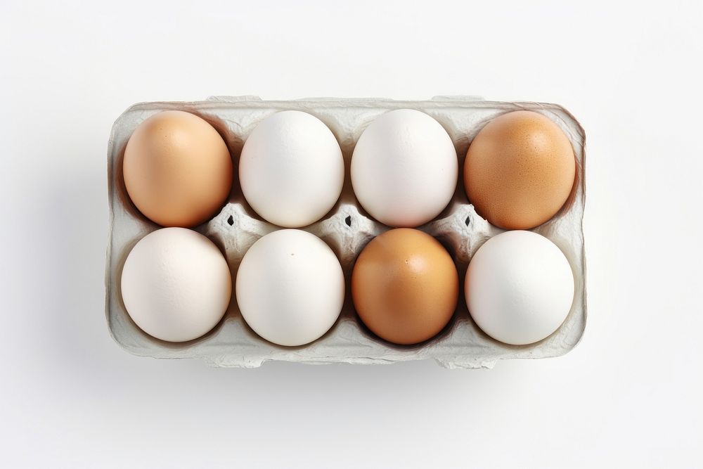Eggs carton mockup food easter egg.