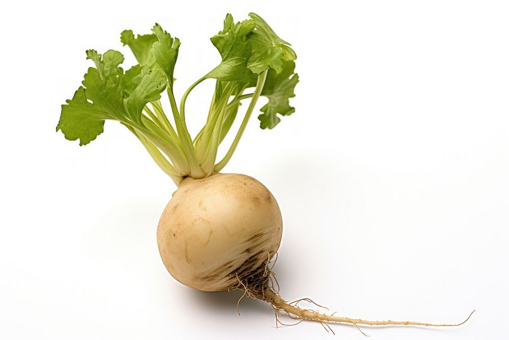 A turnip vegetable plant food.
