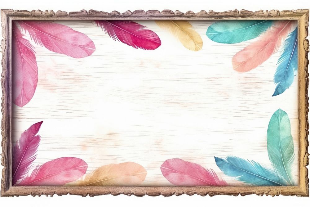Vintage frame of feathers backgrounds painting white background.