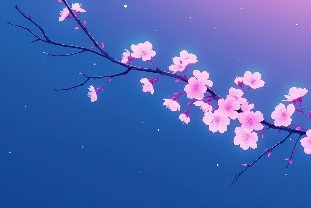 Cherry blossom outdoors nature flower.