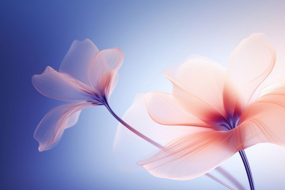 Abstract background flower blossom nature.