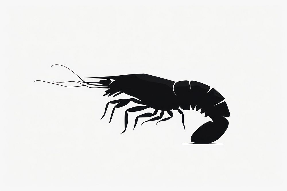 Shrimp silhouette clip art seafood animal insect.