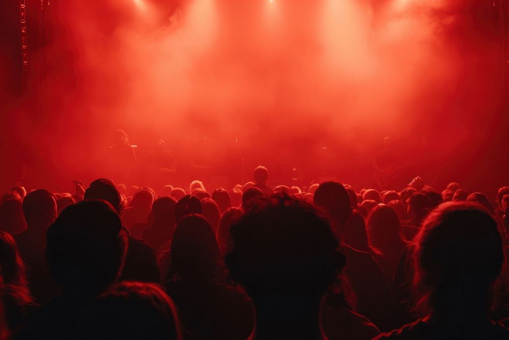 Audience at a concert nightlife nightclub music.