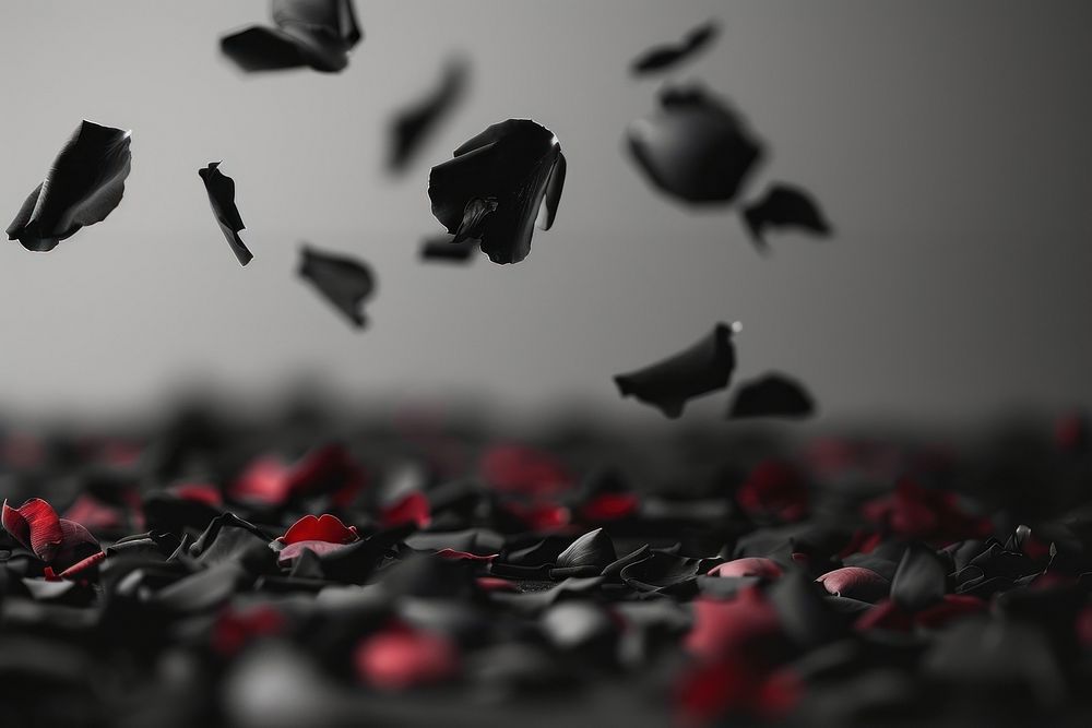 Rose petals black red monochrome.