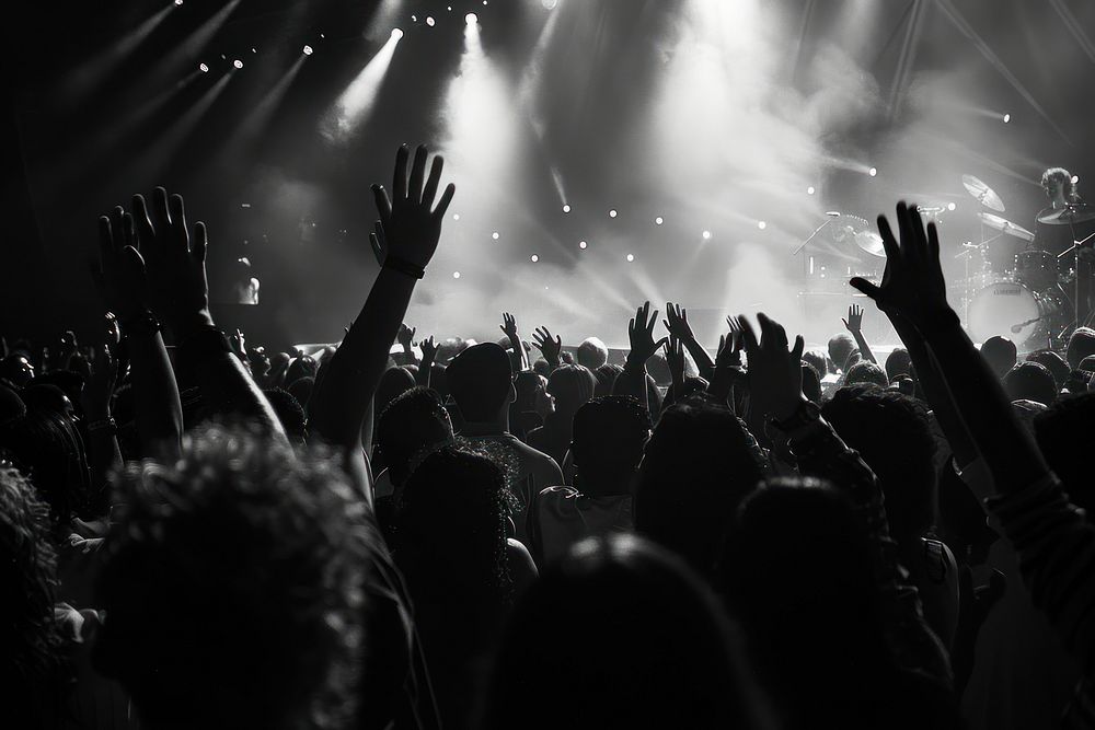 Happy audience at a concert music light adult.