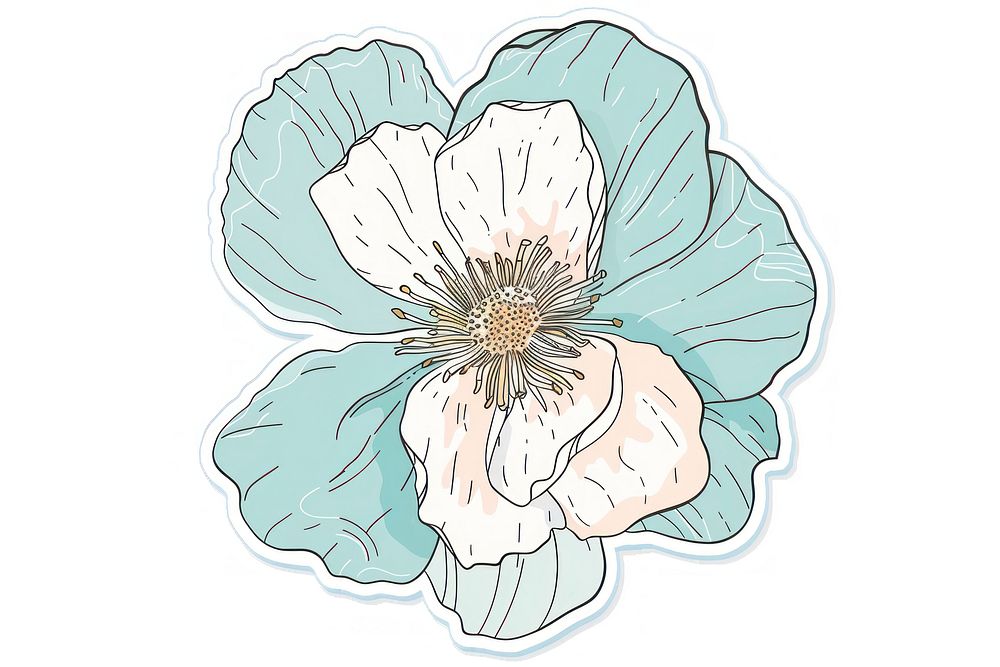 Screen printing sticker flower illustrated anemone blossom.