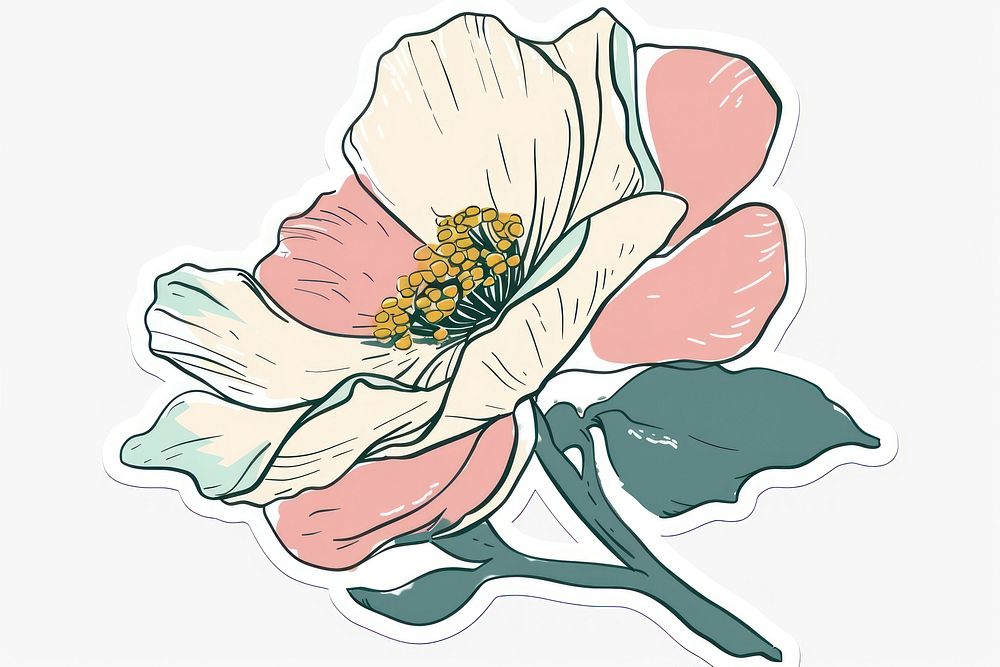 Screen printing sticker flower illustrated blossom anemone.