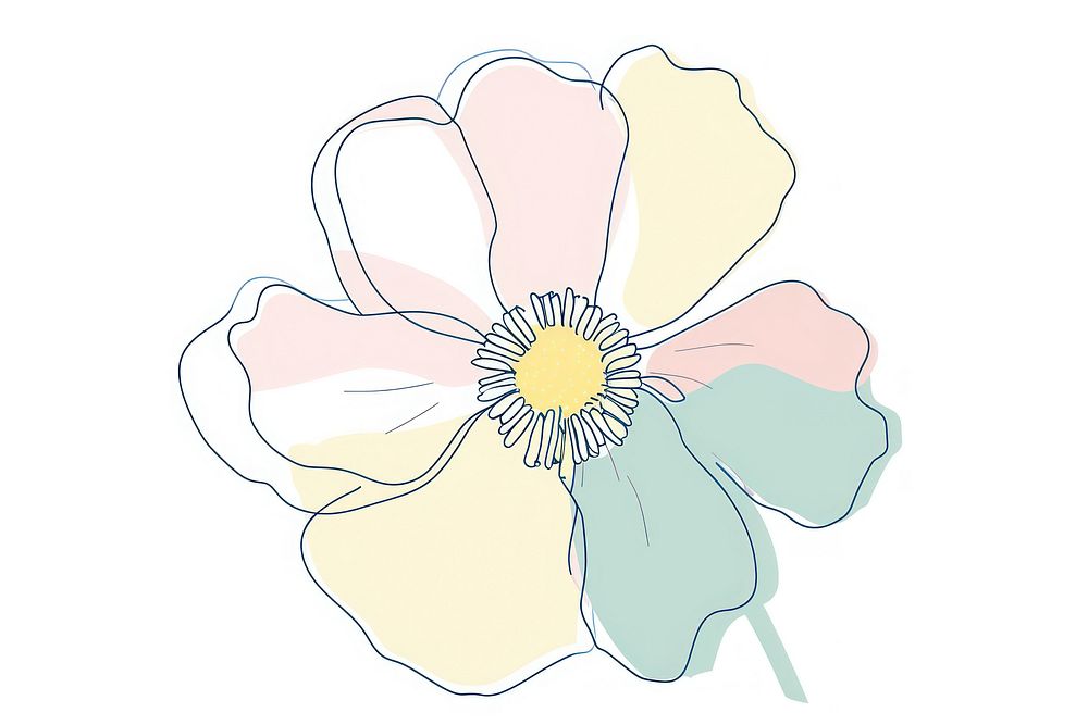 Screen printing sticker flower illustrated asteraceae anemone.