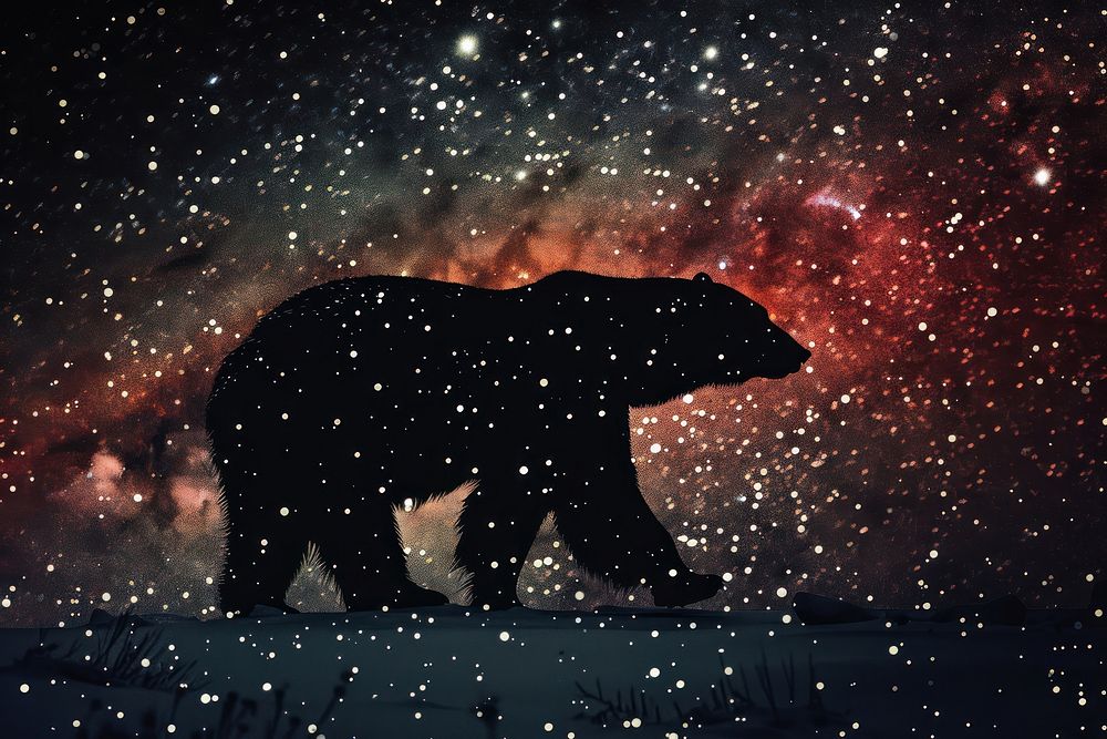 Silhouette bear astronomy outdoors.