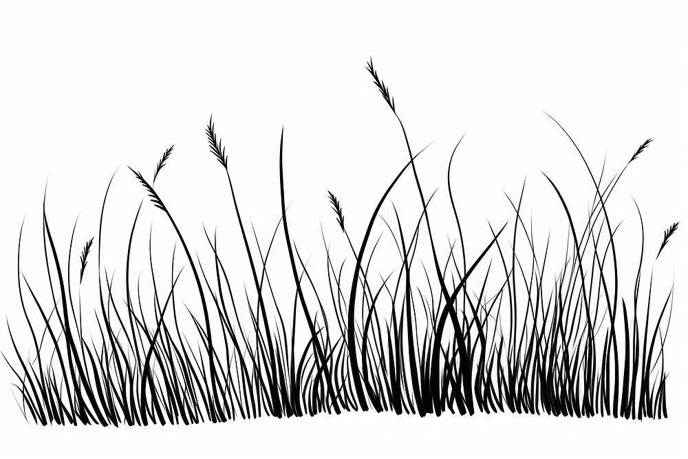 Easy doodle drawing of grass plant reed art.