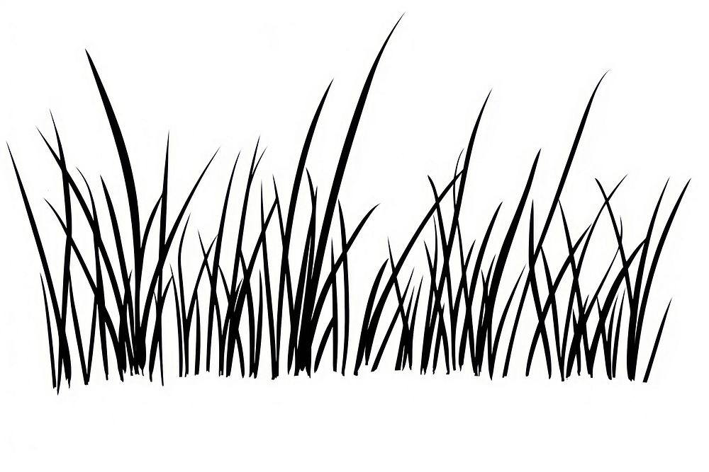 Easy doodle drawing of grass plant reed text.