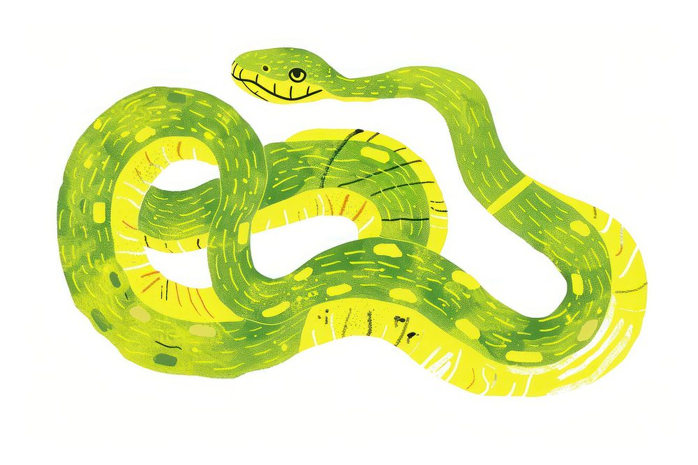 Snake reptile animal green snake.