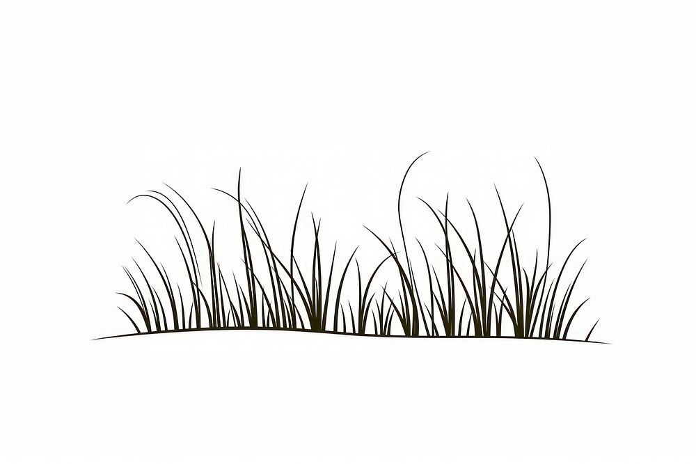 Grass illustrated vegetation drawing.