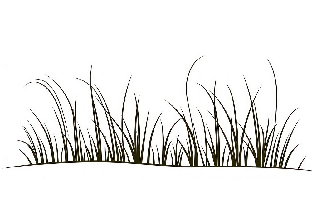 Grass illustrated vegetation outdoors.