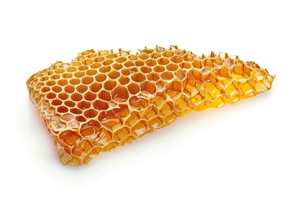 Honey comb honey honeycomb reptile.