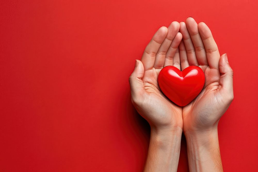 Hands holds a red heart symbol person human.