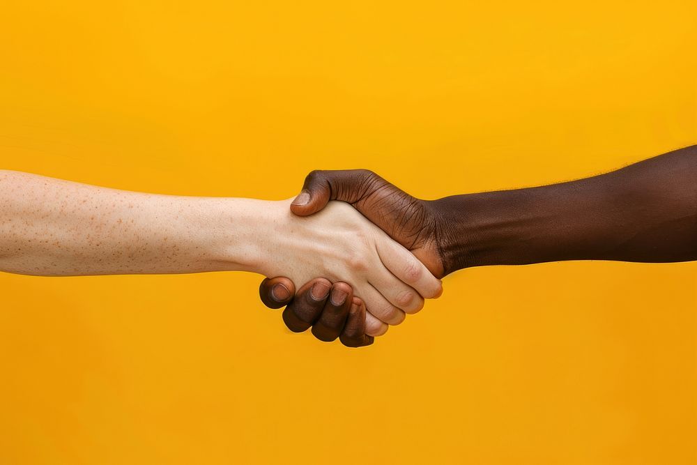 Multiethnic handshake person human holding hands.