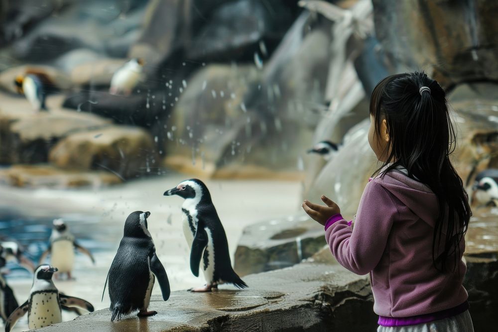Indonesian cute girl penguin zoo kid.