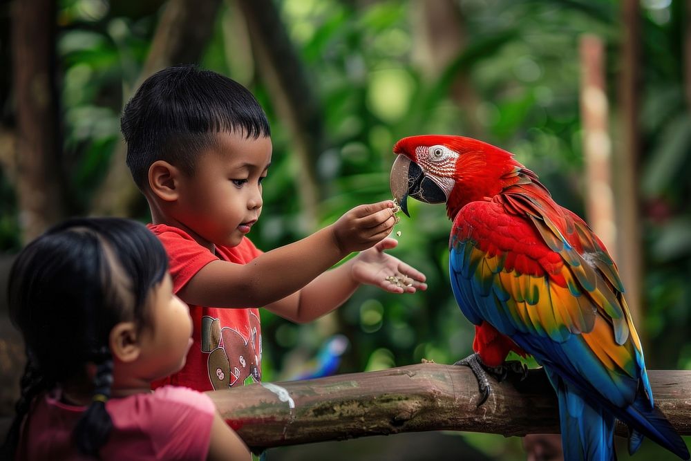 Indonesian boy parrot kid zoo.