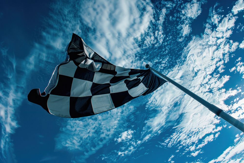 Checkered black and white flag person adult human.