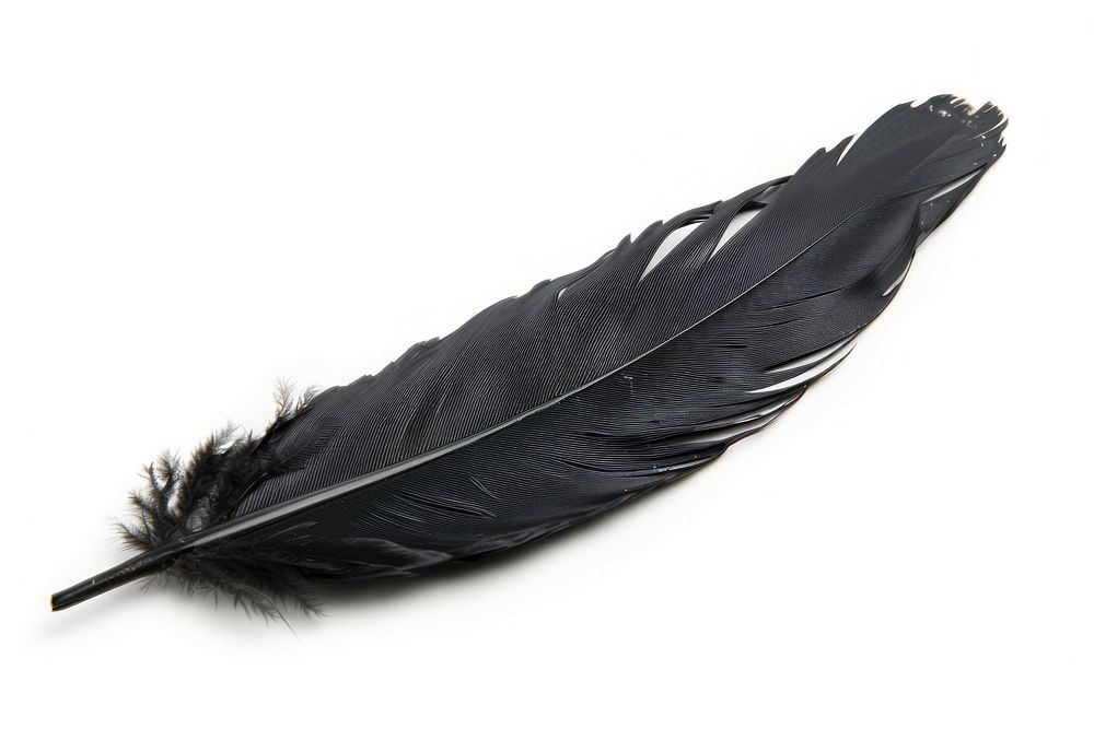 Raven feather accessories accessory bottle.