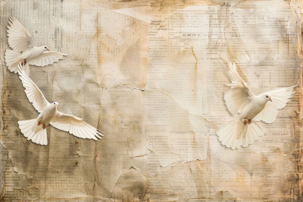 Peace doves ephemera border backgrounds paper wing.