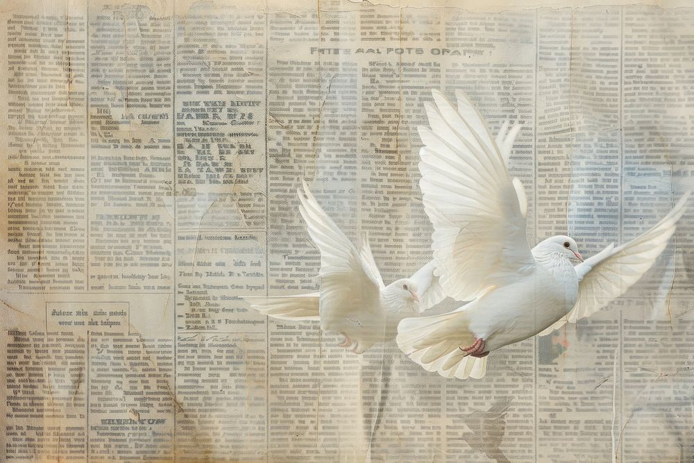 Peace doves ephemera border newspaper animal bird.