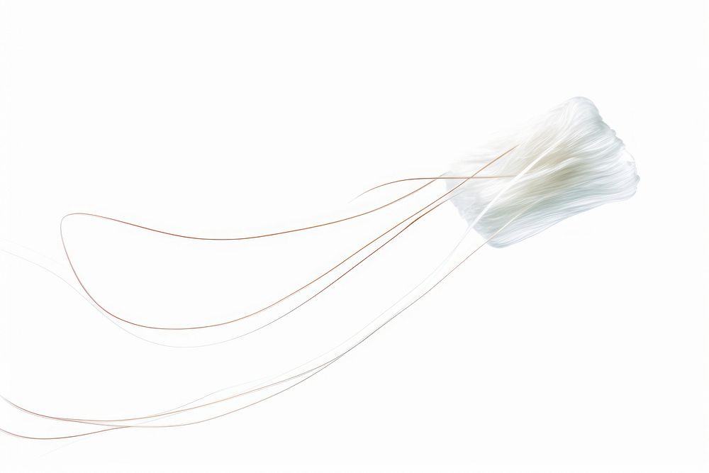 Dental floss invertebrate jellyfish animal.