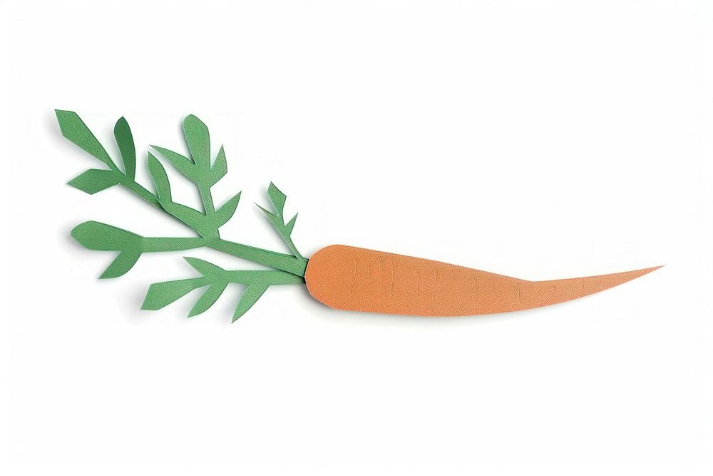 Carrots carrot vegetable appliance.