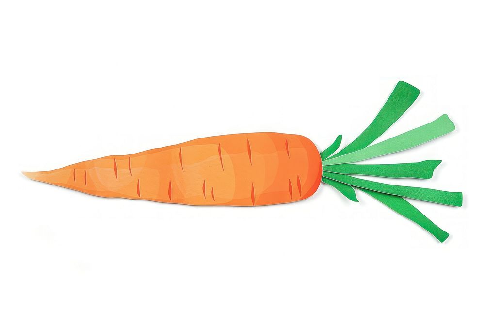 Carrots carrot vegetable appliance.