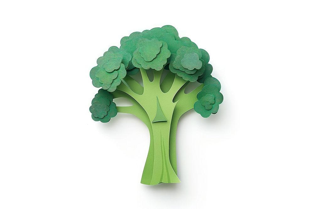 Broccoli broccoli vegetable produce.