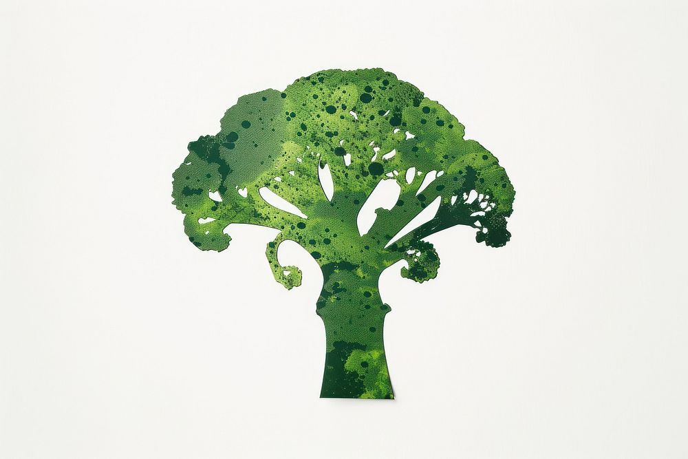 Broccoli broccoli vegetable produce.
