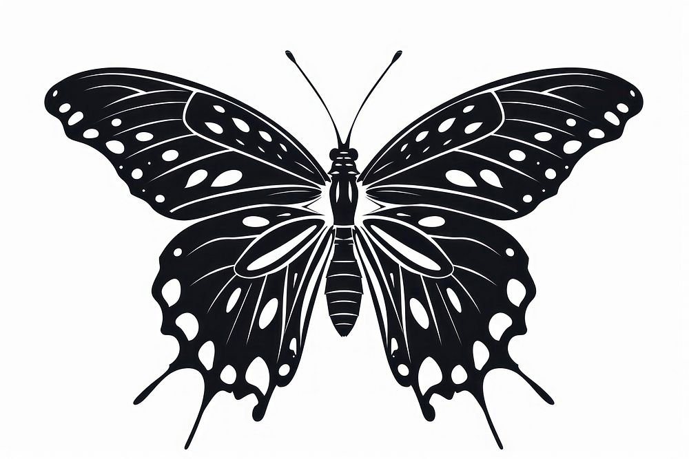 Butterfly icon invertebrate illustrated stencil.