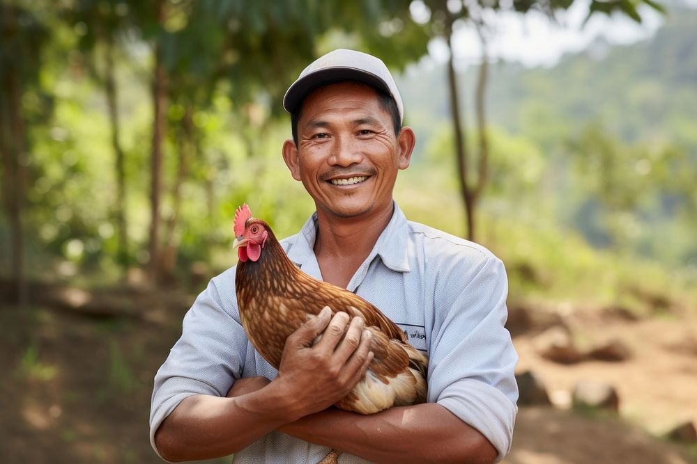Farmer man holding chicken poultry person animal.