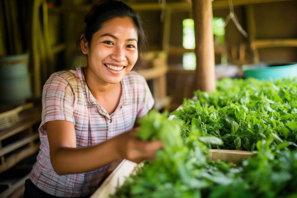 Women thai farmer gardening outdoors person.